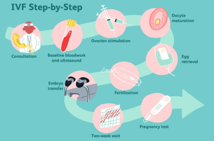 试管婴儿的全过程