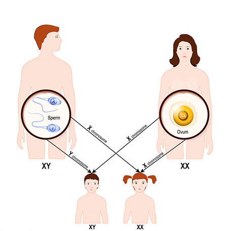 中国试管婴儿可以选性别吗？