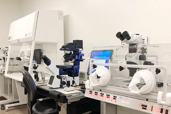 美国代孕机构推荐